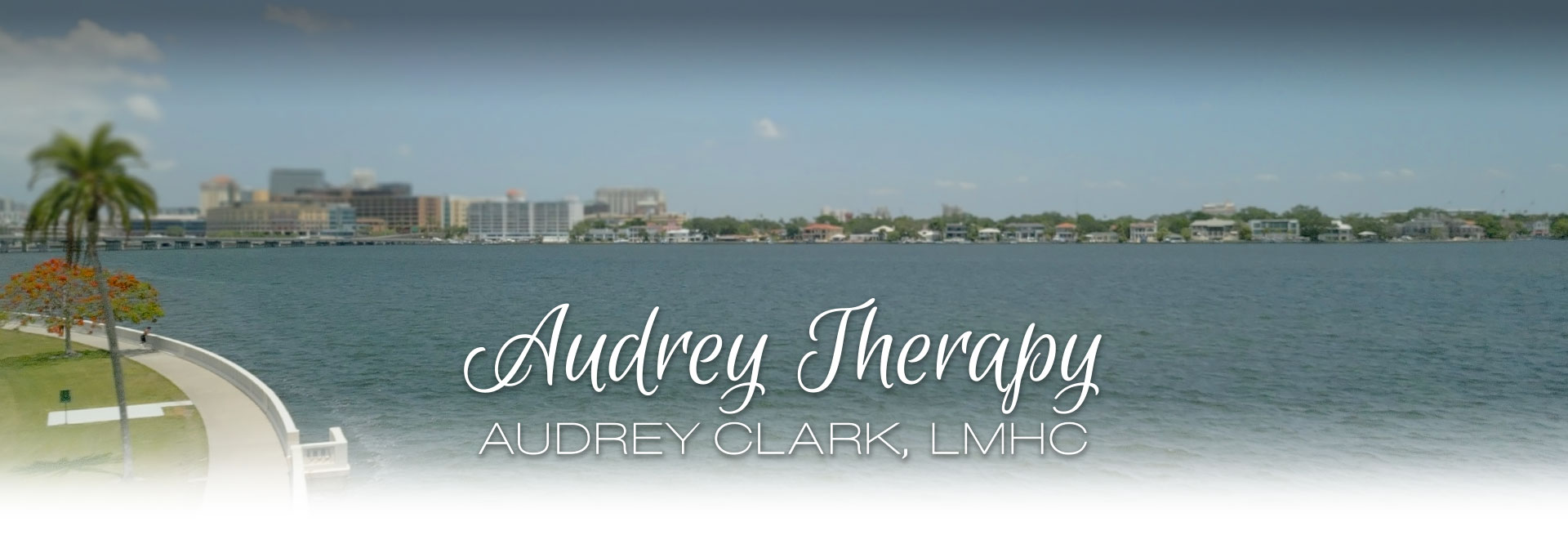 South Tampa Family Therapy by Audrey Clark, MA, LMHC, NCC